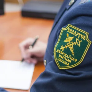 Подробнее о статье Несколько слов о таможенном декларировании товаров и ответственности за неосуществление таковой