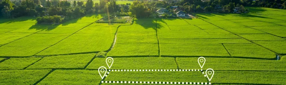 Земельное право, на зеленом поле отмечен участок